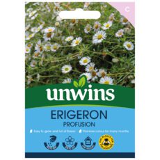5051618027274 1 Erigeron Profusion Seeds.jpg